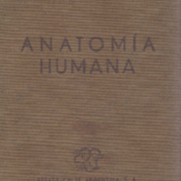 333 Anatomia Humana.pdf