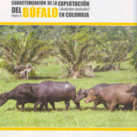 52 Manual de explotación de búfalos.pdf