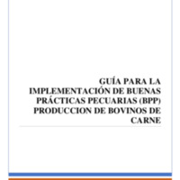 43 Guia-BP-BOVINO.pdf