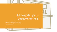 427  Hospital tipos, características..pdf