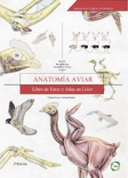 65 Anatomía de las aves.pdf