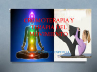 554 Terapia de movimiento cromoterapia..pdf