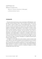 353 Sistema endocrino.pdf