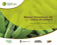 134 Manejo fitosanitario del cultivo del plátano (medidas para la temporada).pdf