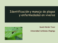 79 Identificación y manejo de plagas y enfermedades en viveros.pdf