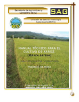 146 Manual del cultivo de arroz.pdf