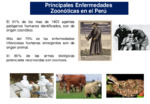 404 Enfermedades zoonosicas..pdf