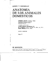 54 anatomia-de-los-animales-domesticosrobert-gettytomo-2.pdf